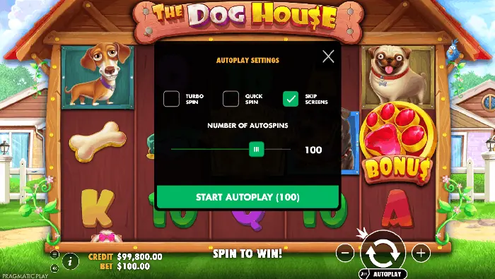 Настройки автоигры в слоте The Dog House